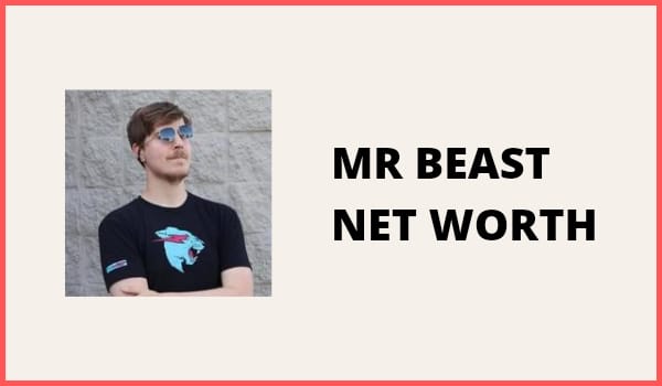 Mr Beast Net Worth