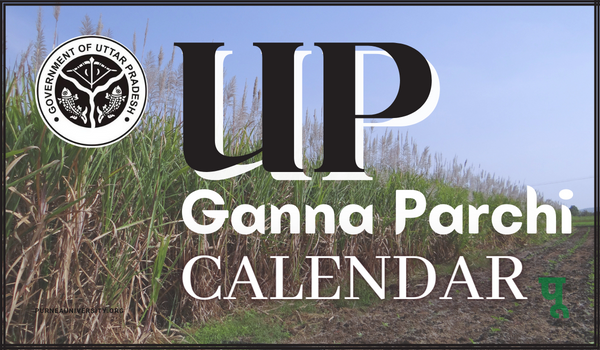 UP Ganna Parchi Calendar