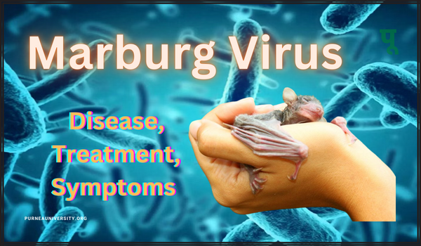 Marburg Virus Disease