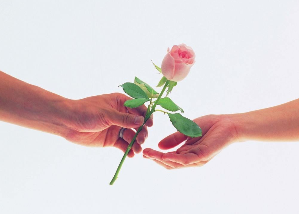 Rose day image