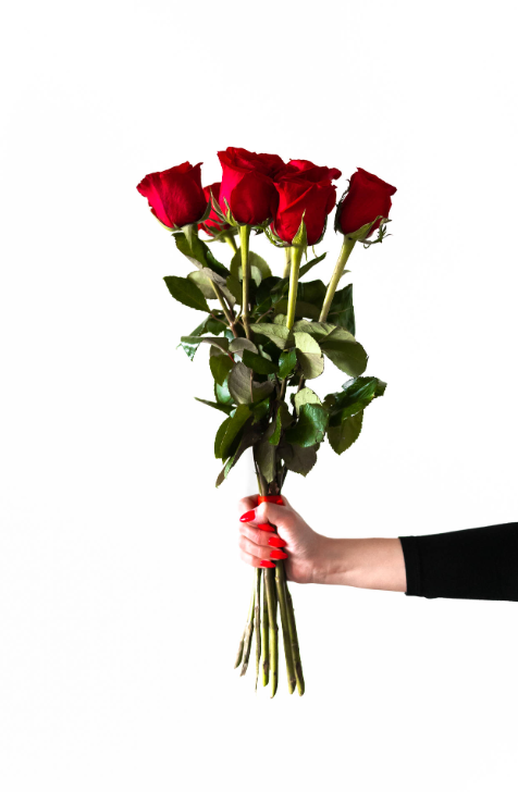 Rose day image