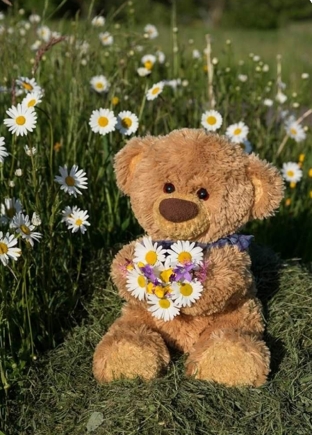 Teddy day Image