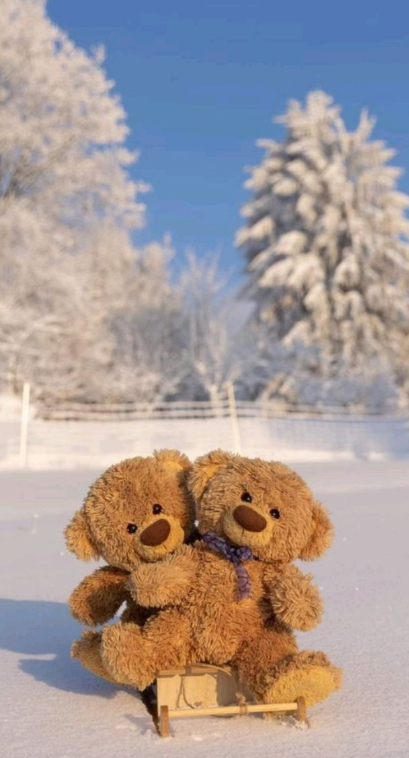 Teddy day Image