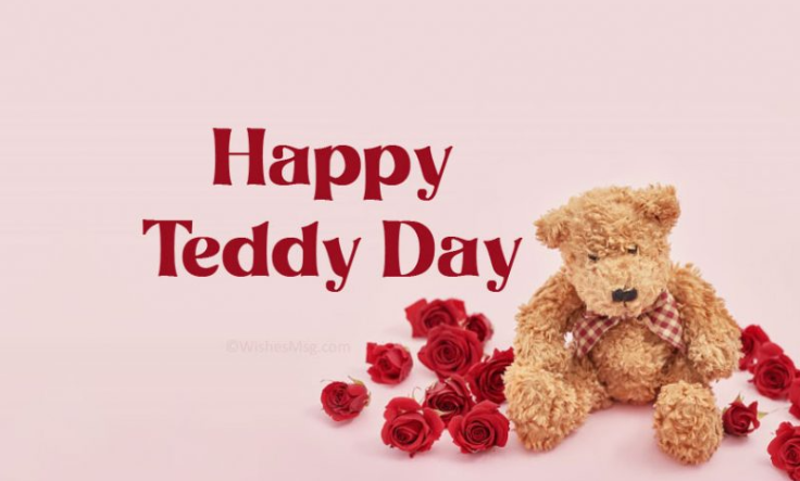 Teddy day images