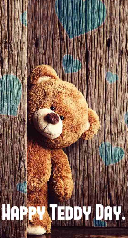Teddy day images