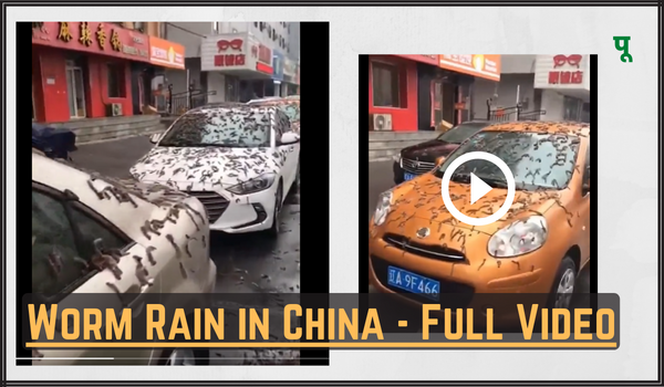 Worm Rain in China - Full Video